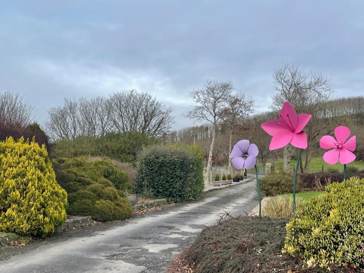 Glendine Country House Wexford Arthurstown Kültér fotó